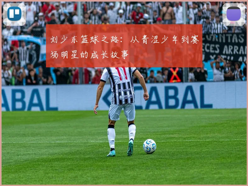 刘少东篮球之路：从青涩少年到赛场明星的成长故事